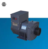 Magnet Brushless Alternator 